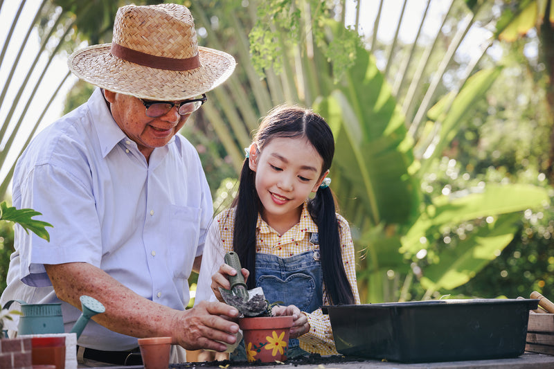 To Retire or Not to Retire