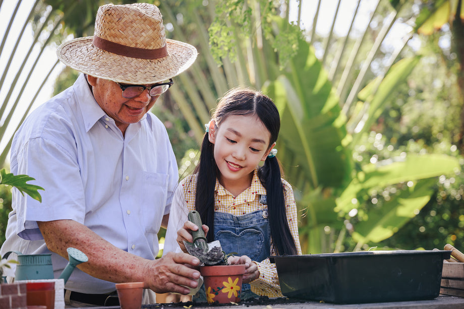 To Retire or Not to Retire