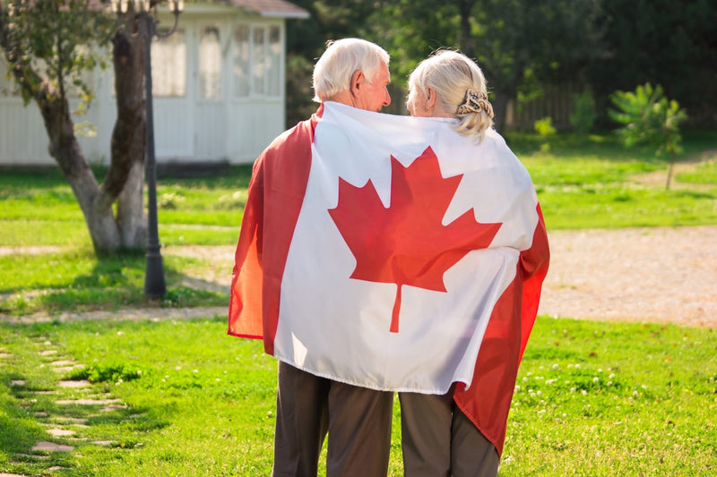Concerns for the Aging Population in Canada